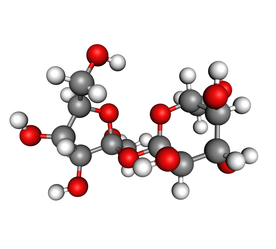 Model molekule saharoze načinjen od kuglica i štapića; Atomi su prikazani kao crvene, sive i bijele kuglice