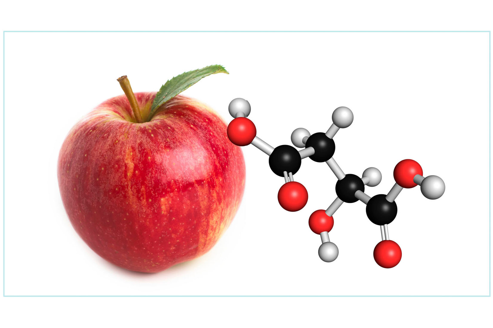 Fotografija prikazuje crvenu jabuku. S desne strane prikazana je strukturna formula jabučne kiseline.