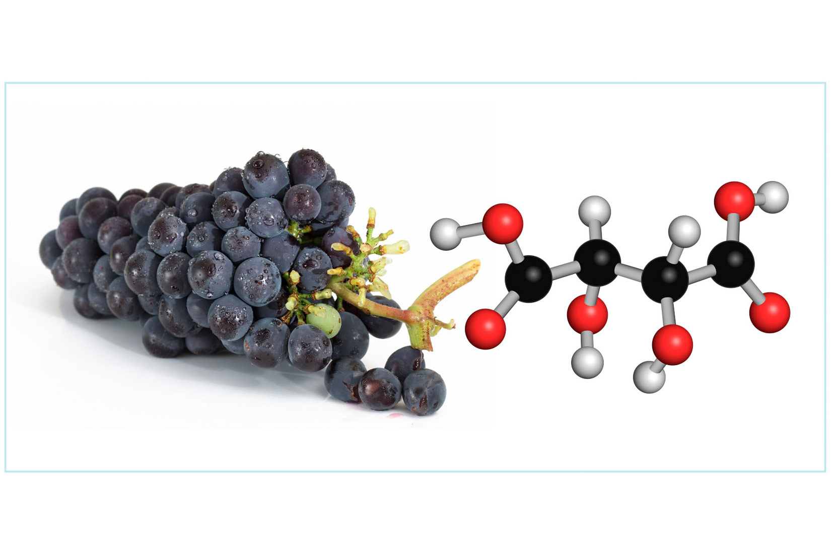 Fotografija prikazuje crveni grozd položen na podlozi. Pored grozda je prikazana strukturna formula vinske kiseline u grožđu.