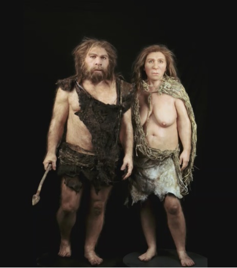 Na slici su sprijeda prikazani muškarac i žena Neandertalci. Tijela su im manje dlakava i prekrivena odjećom napravljenom od krzna. Muškarac u ruci drži koplje.