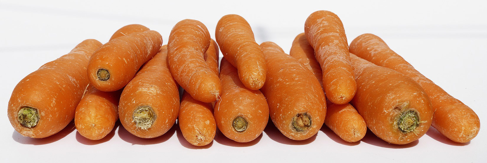 Fotografija prikazuje zrele narančaste mrkve.