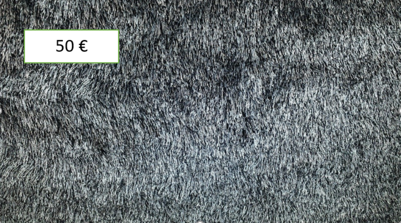 Slikom je prikazan tepih naziva Maus, dostava unutar 5 dana, za 50 eura.