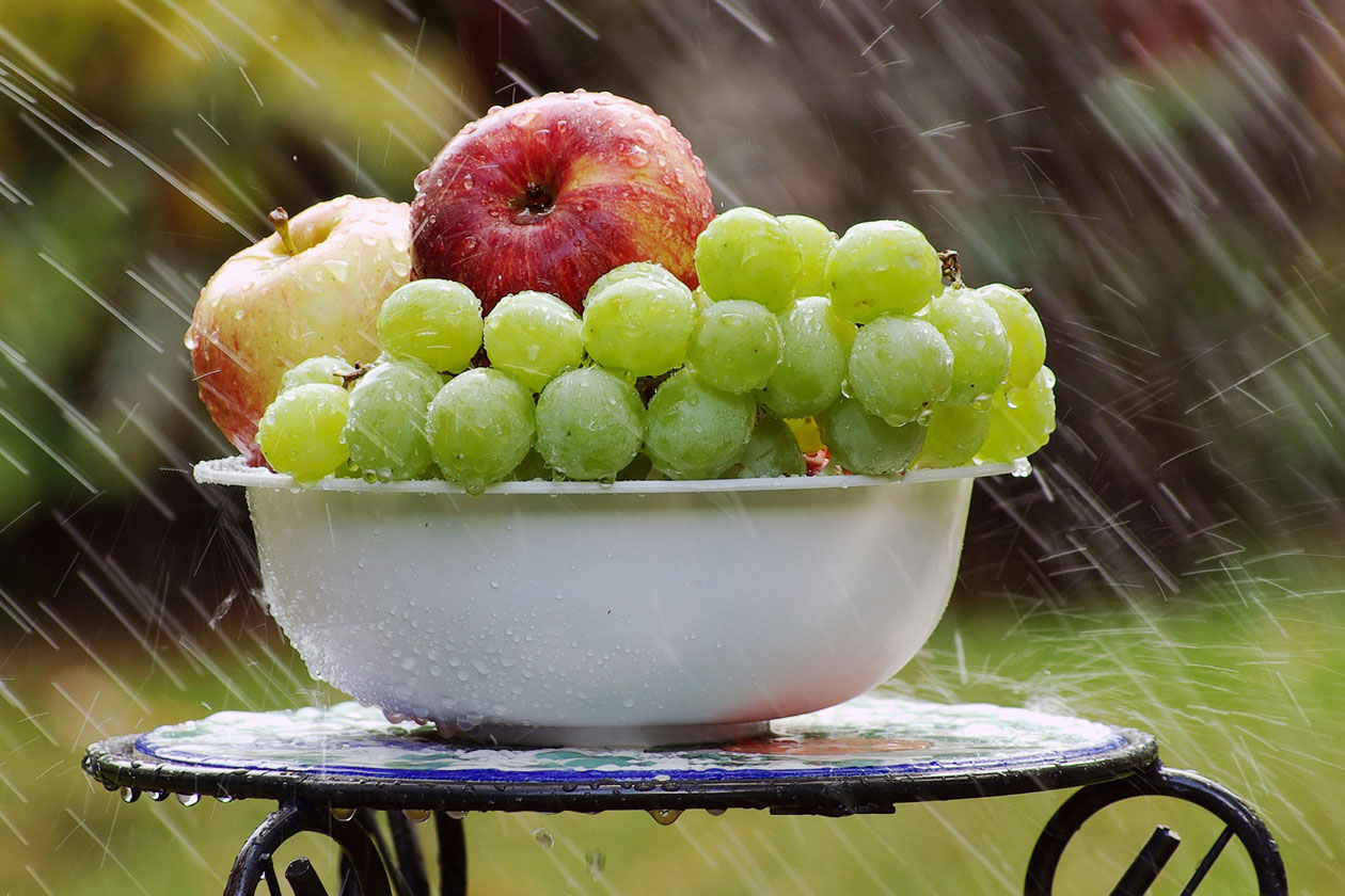 Slikom je prikazano voće koje kisne na jakoj kiši.