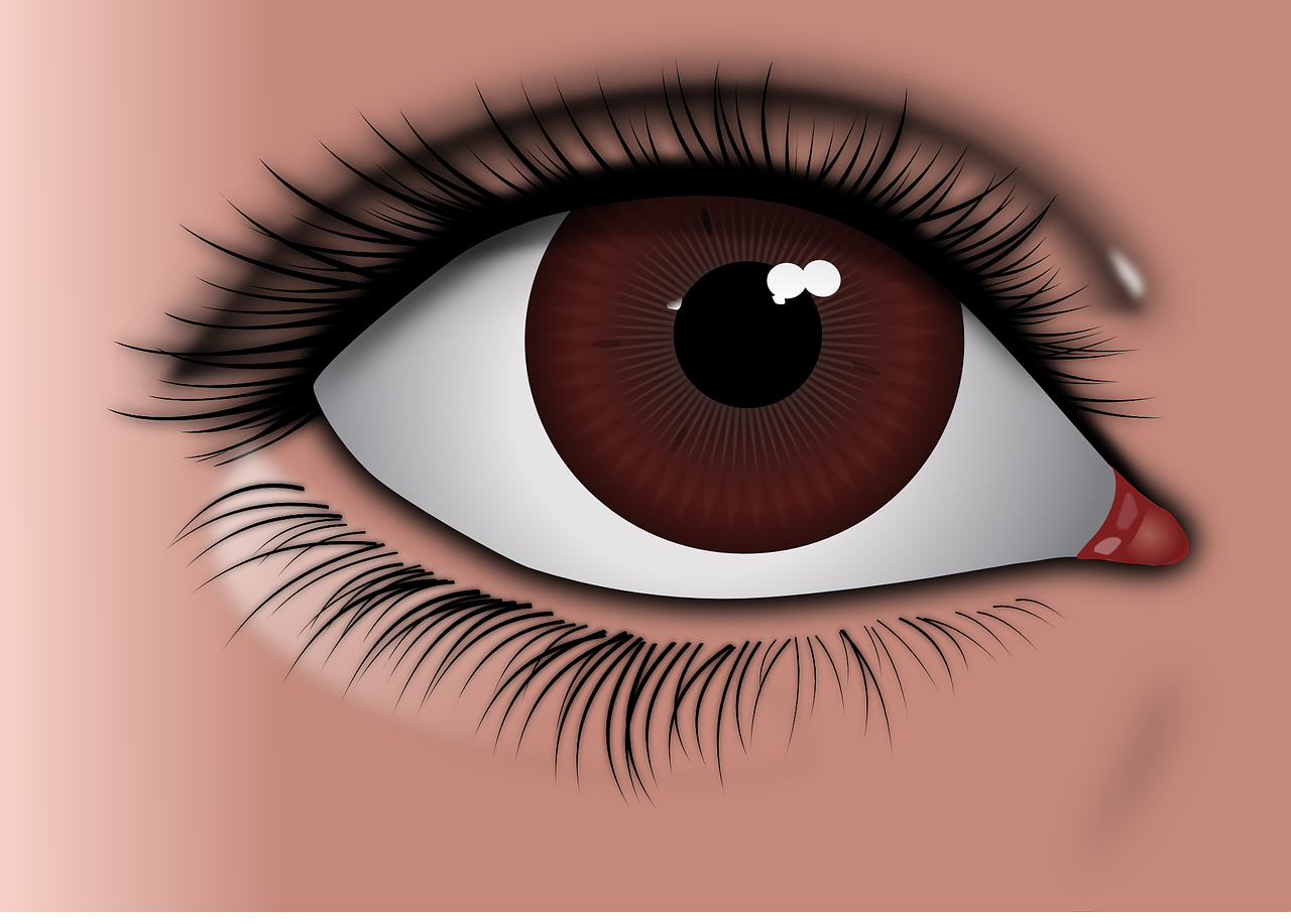 Ilustracija prikazuje ljudsko oko.