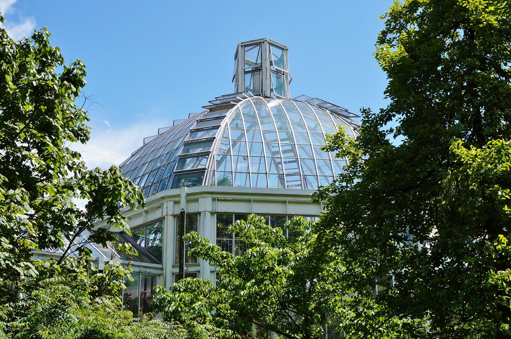 Slika prikazuje botanički vrt u Ženevi.