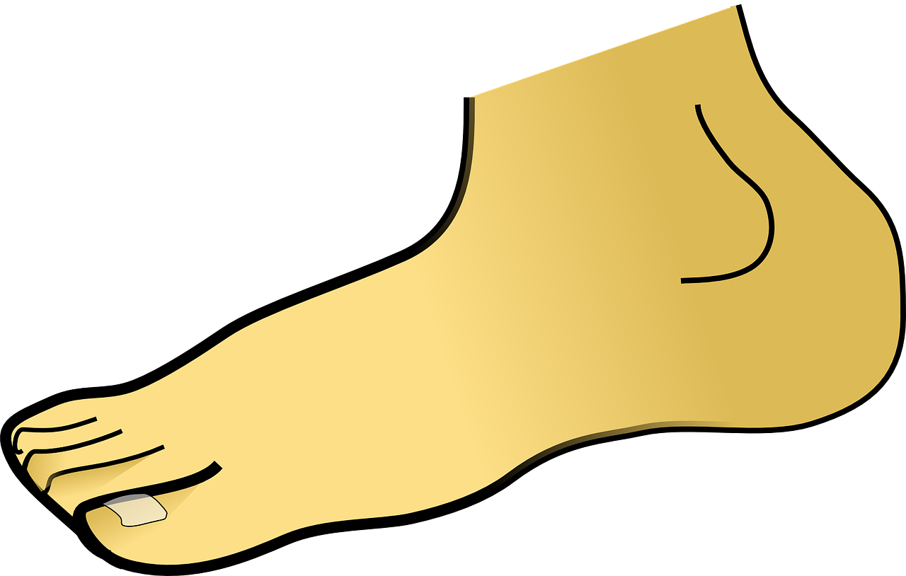 Ilustracija prikazuje ljudsko stopalo.