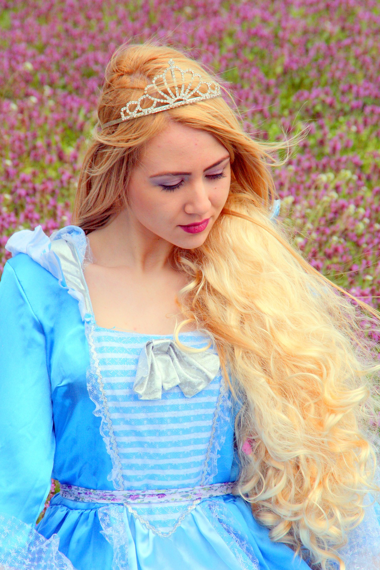 Slikom je prikazana princeza duge kose, s krunom na glavi i u plavoj haljini.