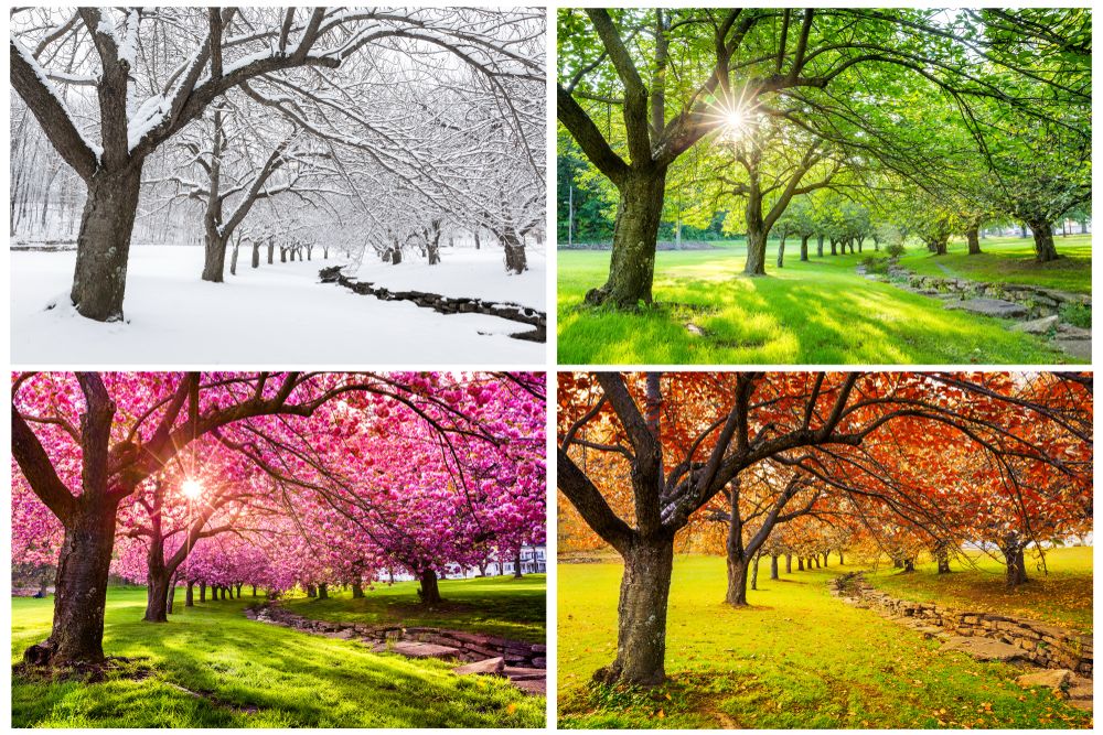 Slikom su prikazana četiri godišnja doba: zima, ljeto, proljeće i jesen.