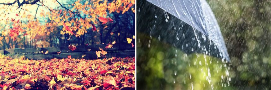 Slikama su prikazana obilježja godišnjeg doba: opadanje žutog lišća i kiša.