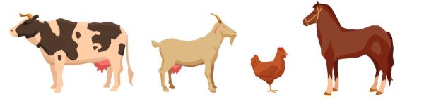 Na ilustraciji su prikazani krava, koza, kokoš i konj.