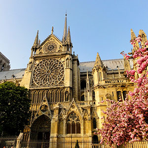 die Kathedrale Notre-Dame