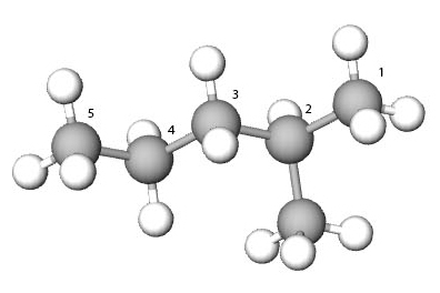 Fotografija prikazuje razgranati model ugljikovodika. Kuglicama koje su u nizu i predstavljaju ugljik pridruženi su redni brojevi od 1 do 5. Od drugog atoma ugljika grana se još jedan atom ugljika, radikal. Svi atomi ugljika međusobno su povezani jednostrukim vezama, a isto su tako jednostrukim vezama povezani i s atomima vodika.
