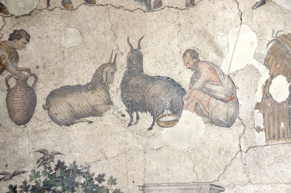 Na ovoj je fotografiji freska čovjeka koji muze kozu.