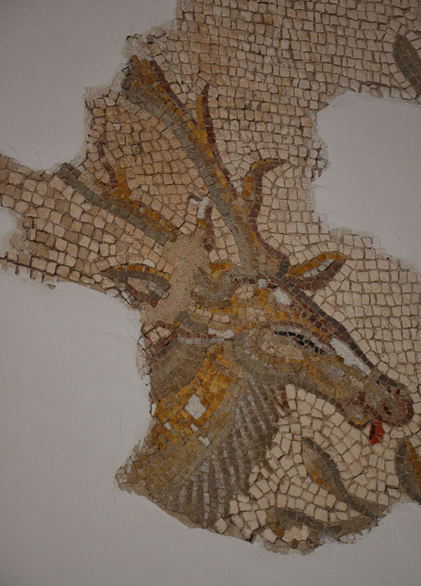 Ova slika prikazuje ostatke mozaika s prikazom jelena u Saloni.