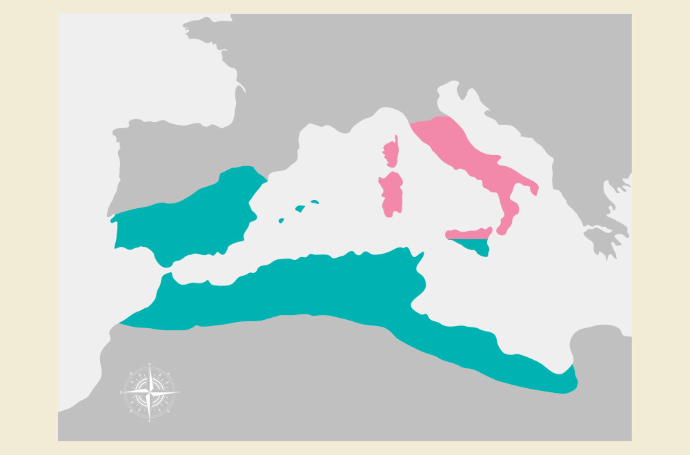 Nakon I. punskog rata Sicilija je podijeljena između Rima i Kartage