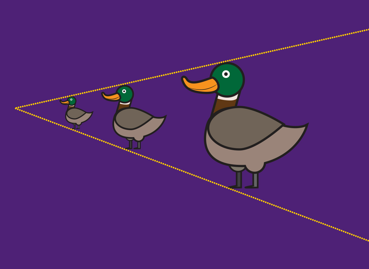 Na slici su tri patke različitih veličina.