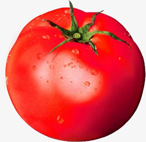 Na fotografiji je rajčica.