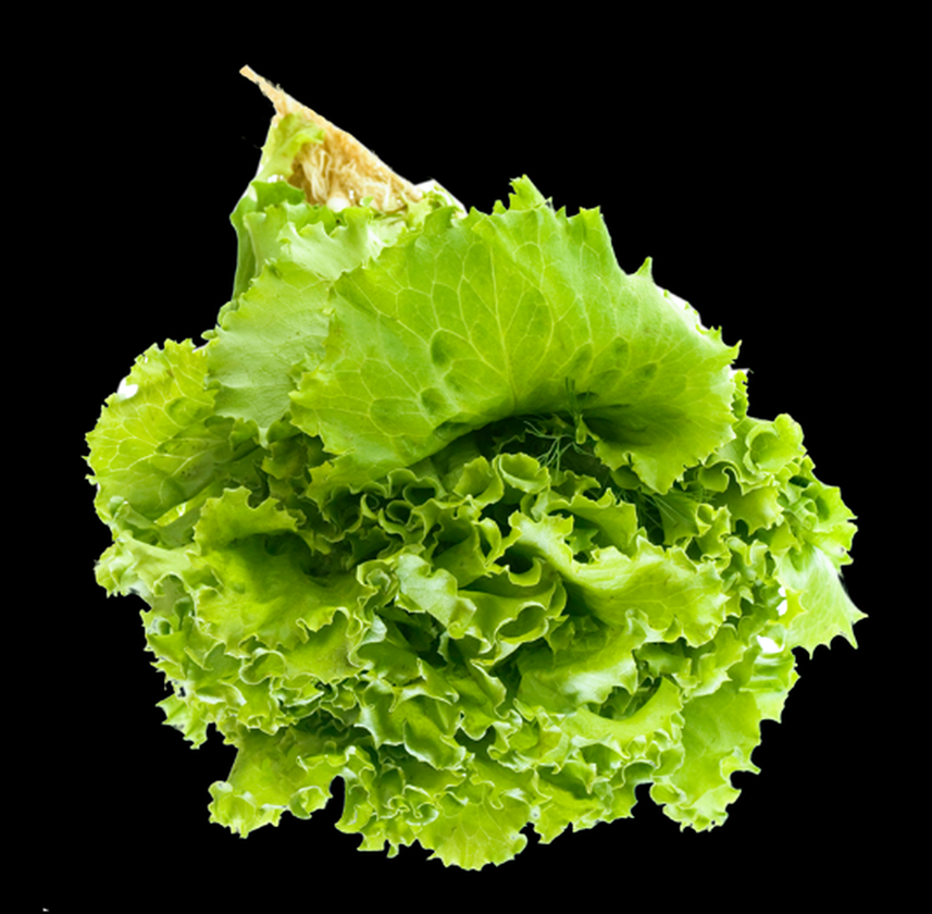 Na slici je prikazana zelena salata.