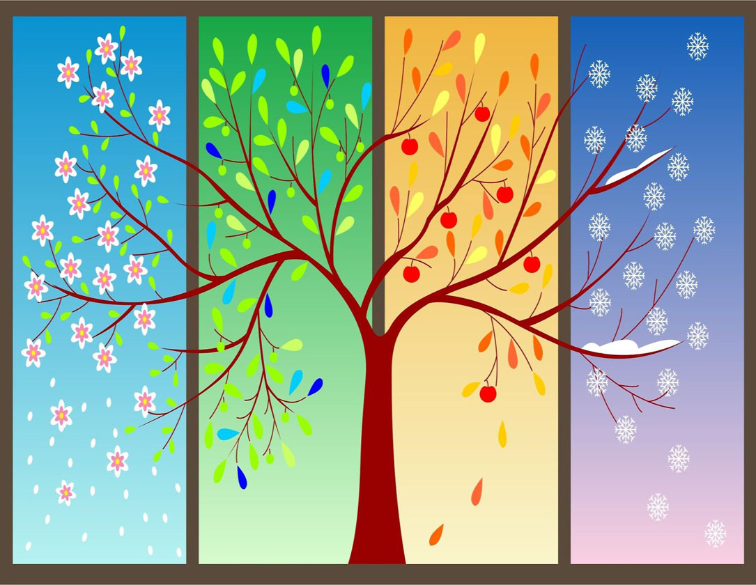 Ilustracija prikazuje drvo kroz sva četiri godišnja doba.