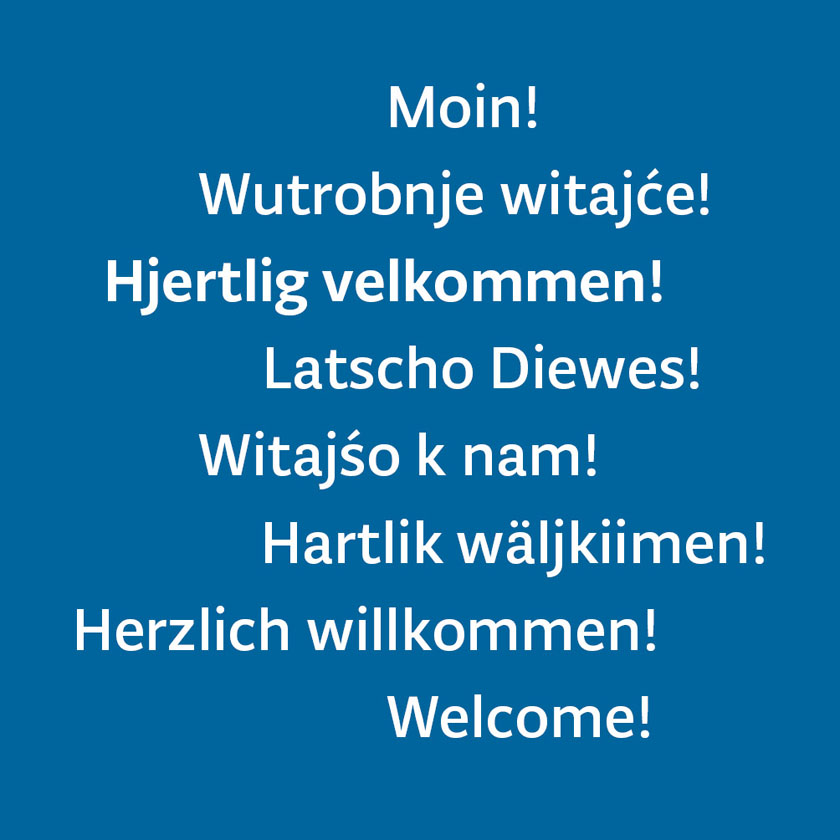 Ilustracija na kojoj su napisani pozdravi na jezicima priznatih manjina u Njemačkoj: danski, frizijski, romski i jezik Lužičkih Srba.