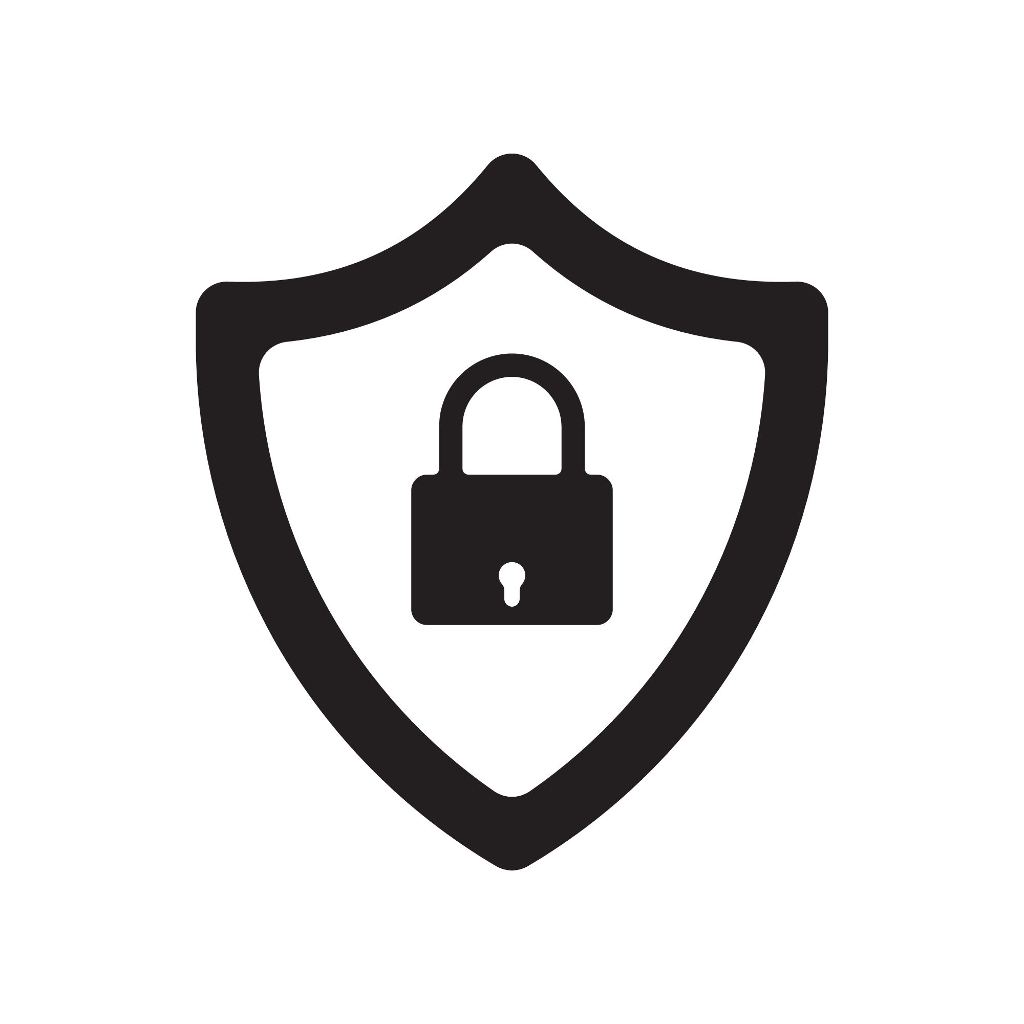 Slika prikazuje internetsku ikonu s lokotom za sigurnost