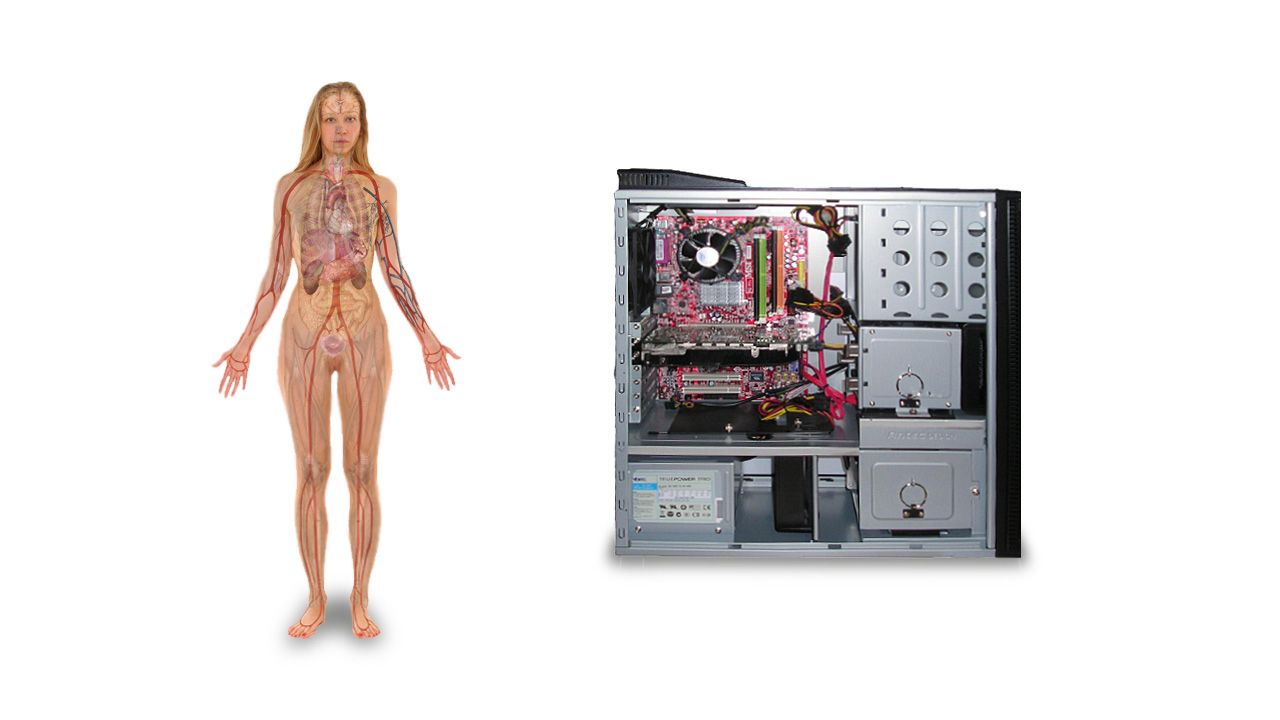 S lijeve strane je žena prikazana tako da joj se vide svi vitalni organi i krvožilni sustav dok je s desne strane kućište s otvorenom stranicom tako da su vidljivi unutarnji dijelovi računala. 
