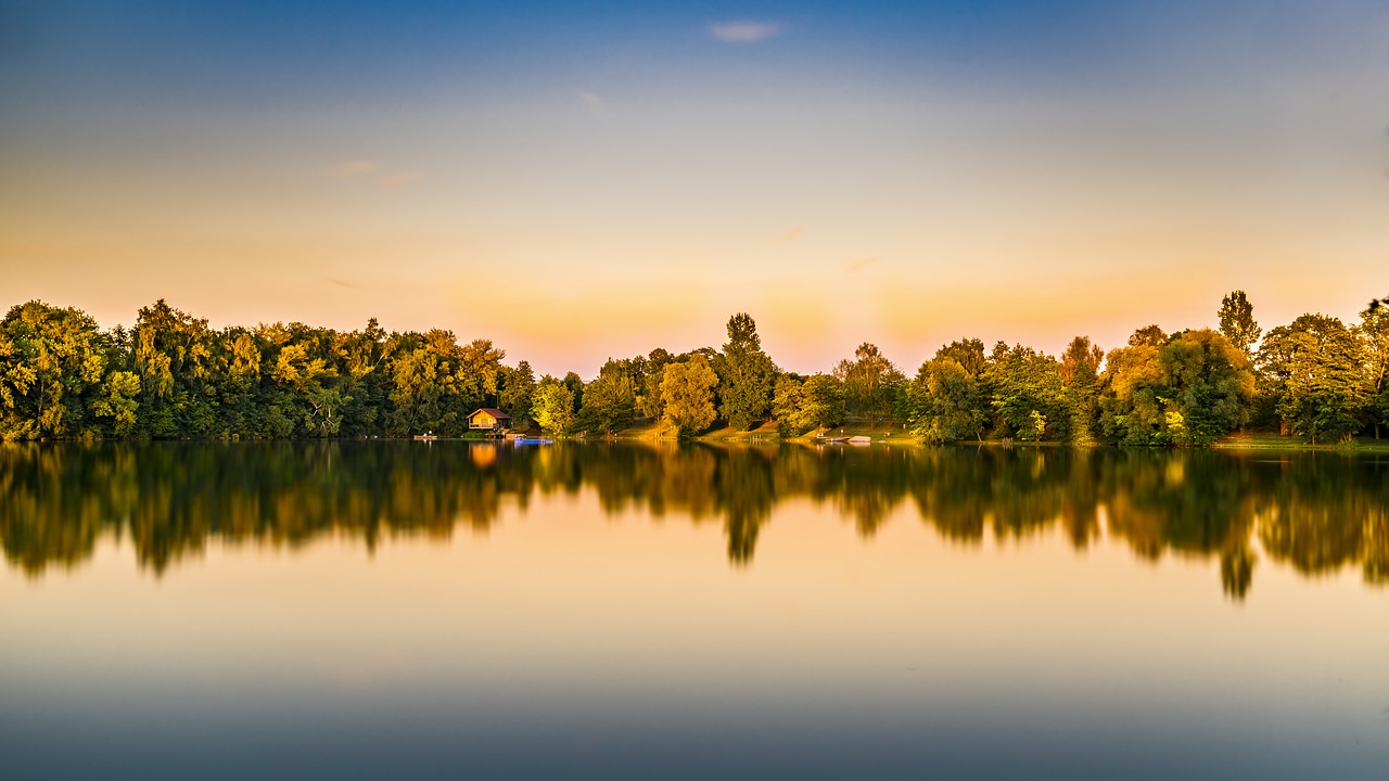 Na fotografiji je prikazan odraz šume u jezeru.