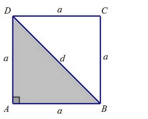 Slika prikazuje kvadrat s jednom dijagonalom i istaknutim pravokutnim trokutom.