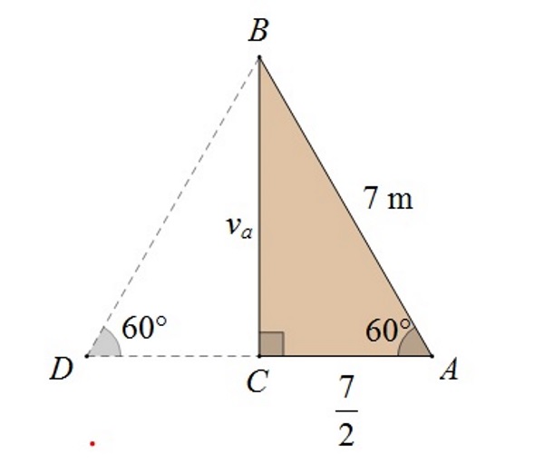 Slika prikazuje pravokutni trokut s jednim kutom od 60° i hipotenuzom duljine 7 m koji je osnosimetrično preko dulje katete nadopunjen do jednakostraničnog trokuta
