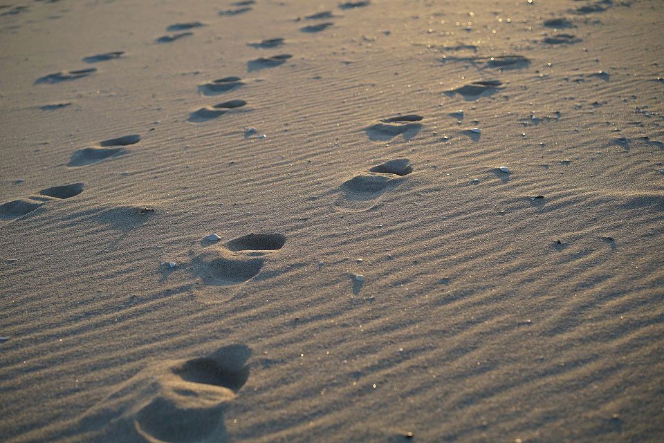 Fotografija prikazuje otiske stopala u pijesku.