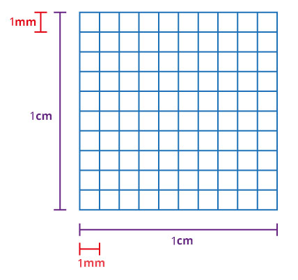 Jedan kvadratni centimetar podijeljena na 10x10 kvadrata