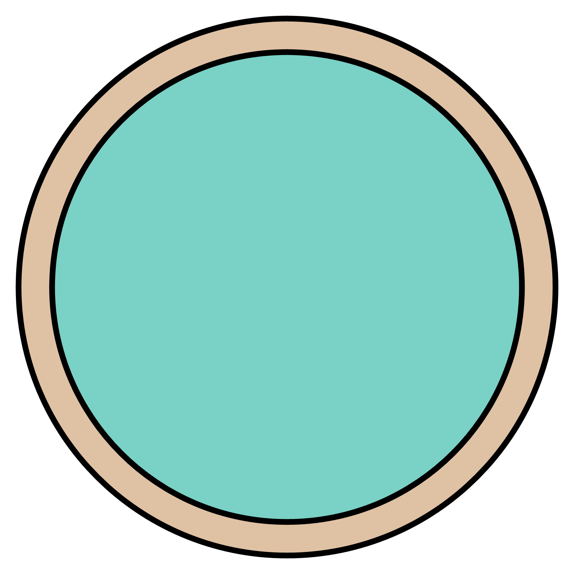 Na slici je bazen kružnog oblika sa stazom oko njega. Staza je oblika kružnog vijenca.