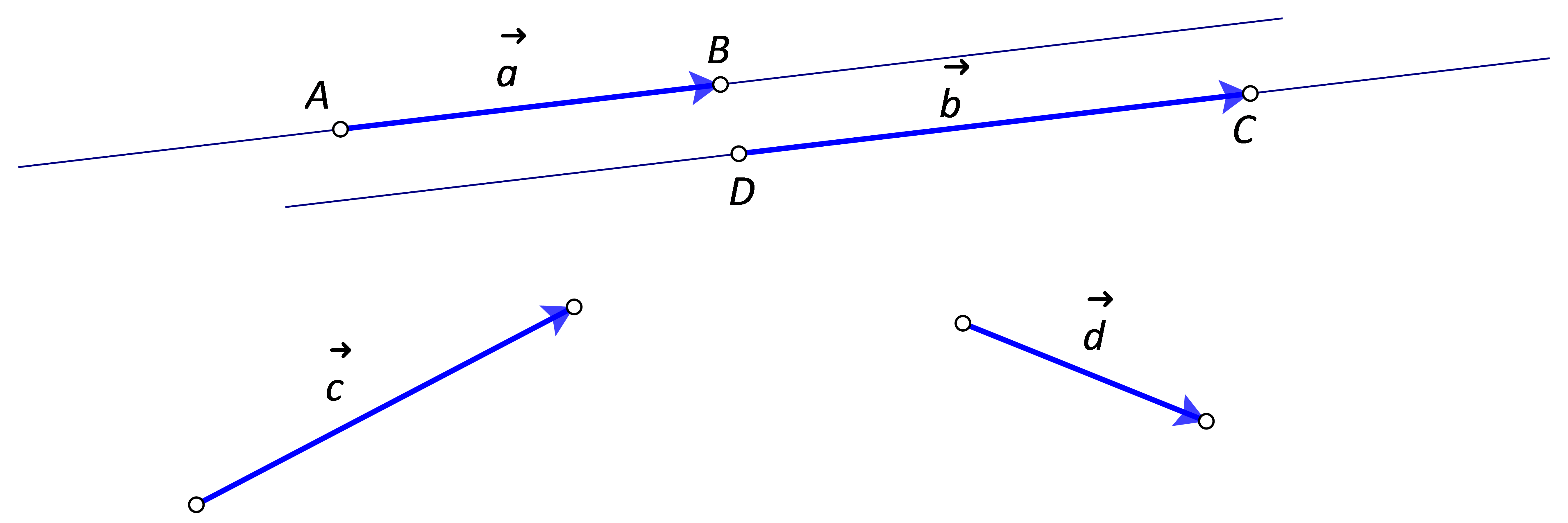 Na slici su prikazani predstavnici četiriju različitih vektora.
