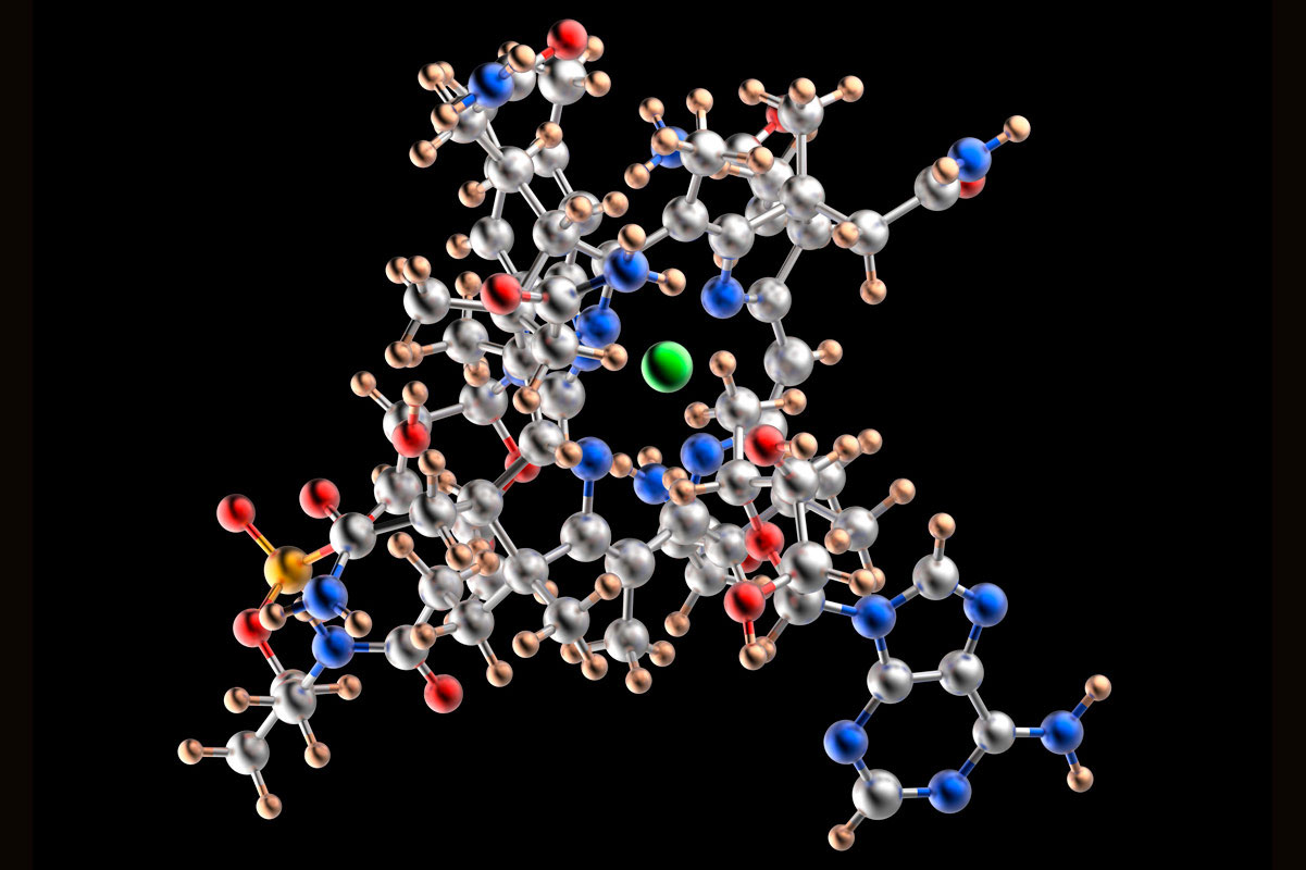 Model molekule vitamina B 12. Sastoji se od 183 atoma.